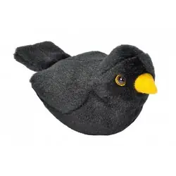 Amsel (mit Stimme)
