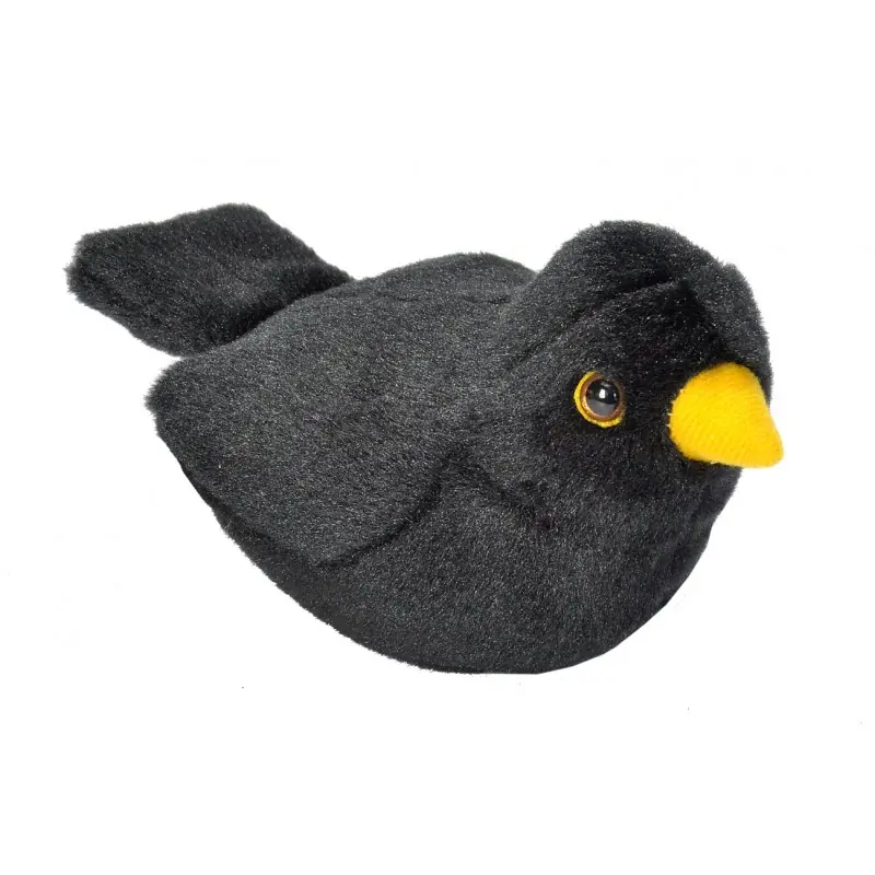 Amsel (mit Stimme)