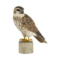 Merlin (holz)