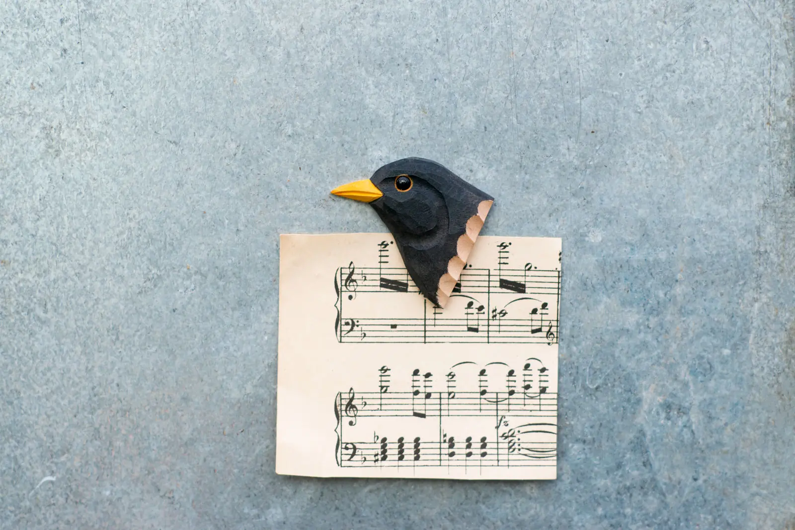Magnet (Amsel)