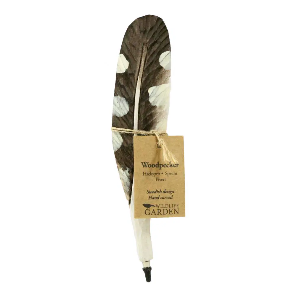 Stift (Specht)