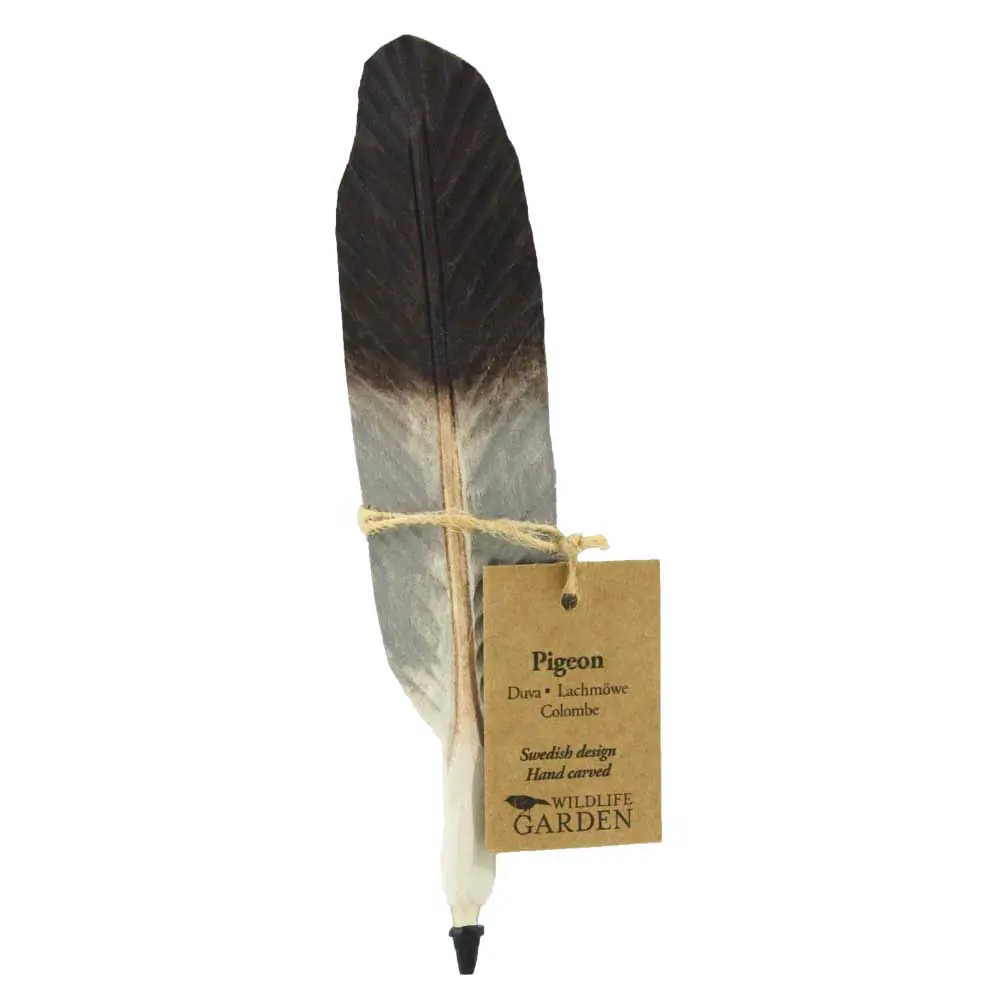Stift (Taube)