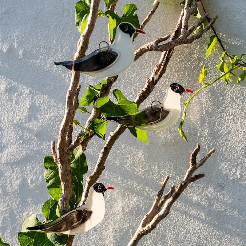 Lachmöwe (glas)