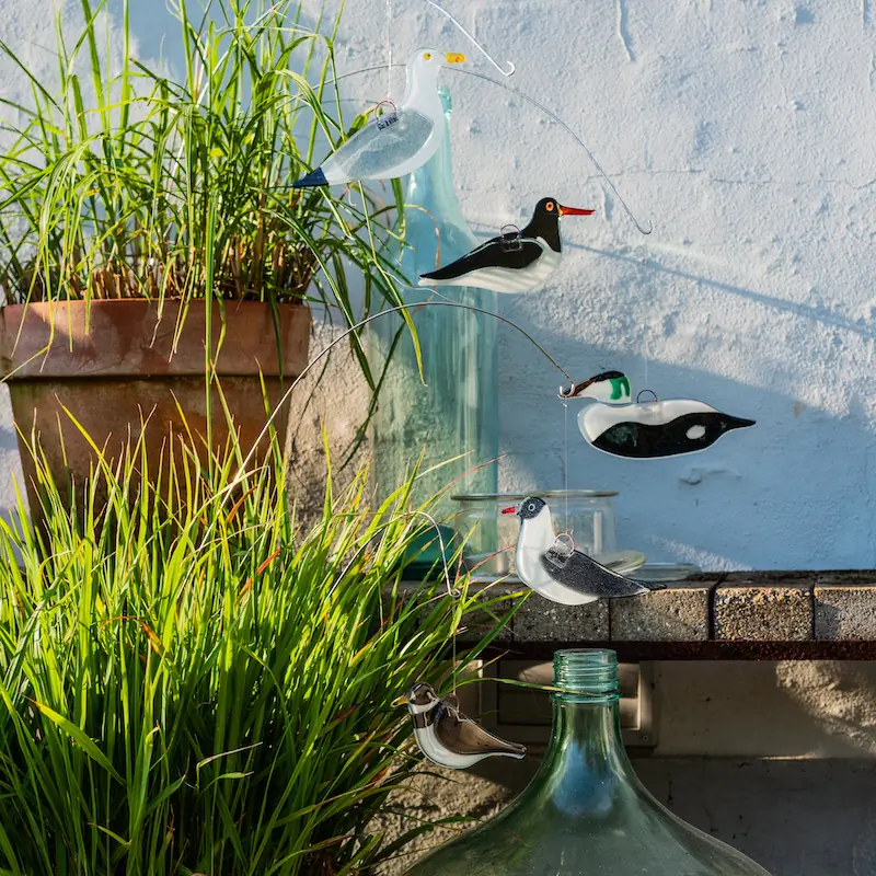 Lachmöwe (glas)