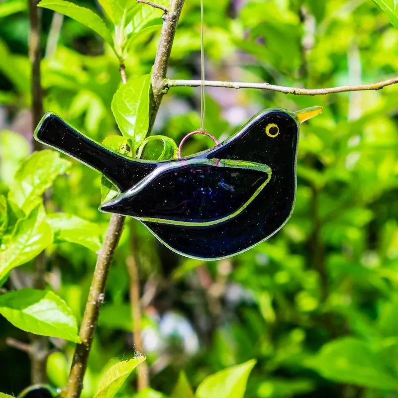 Amsel - männlich (glas)