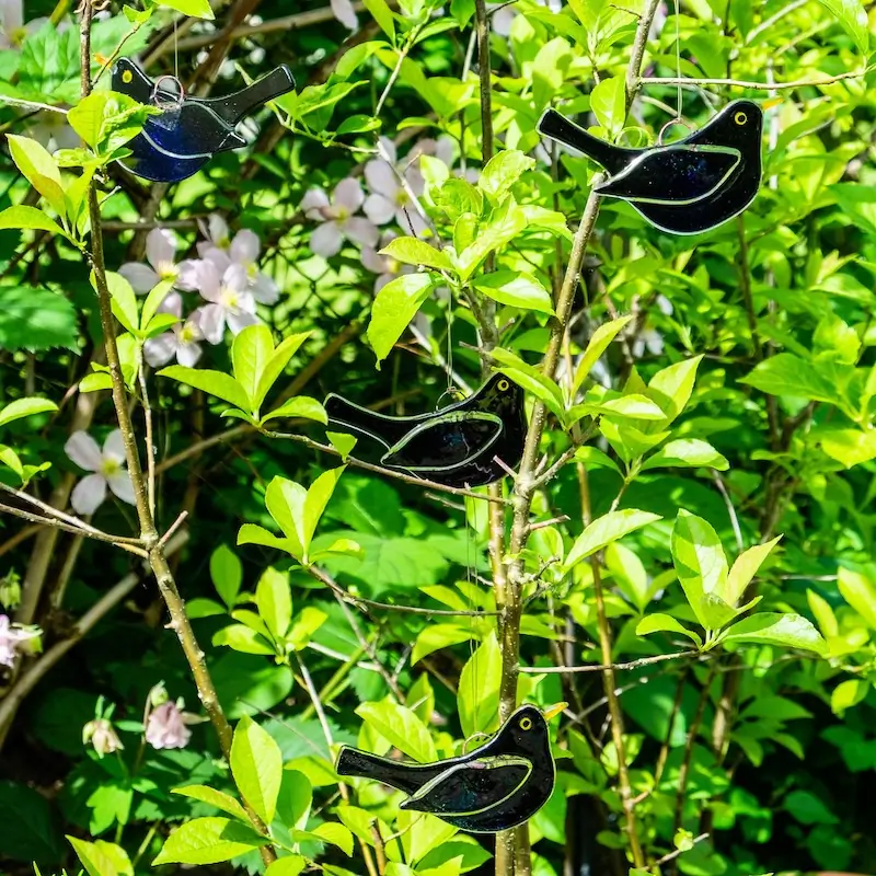 Amsel - männlich (glas)