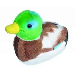 Stockente (mit Stimme)