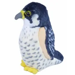 Wanderfalke (mit Stimme)