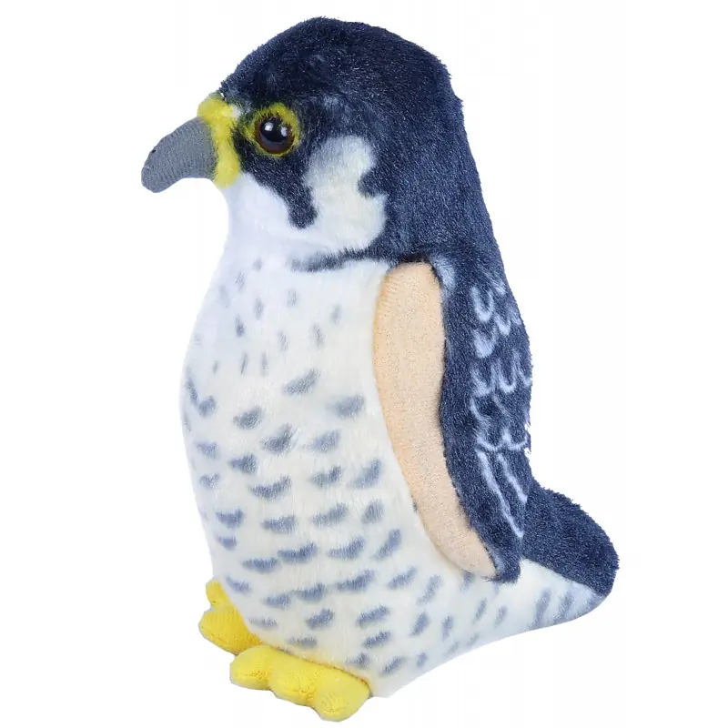 Wanderfalke (mit Stimme)