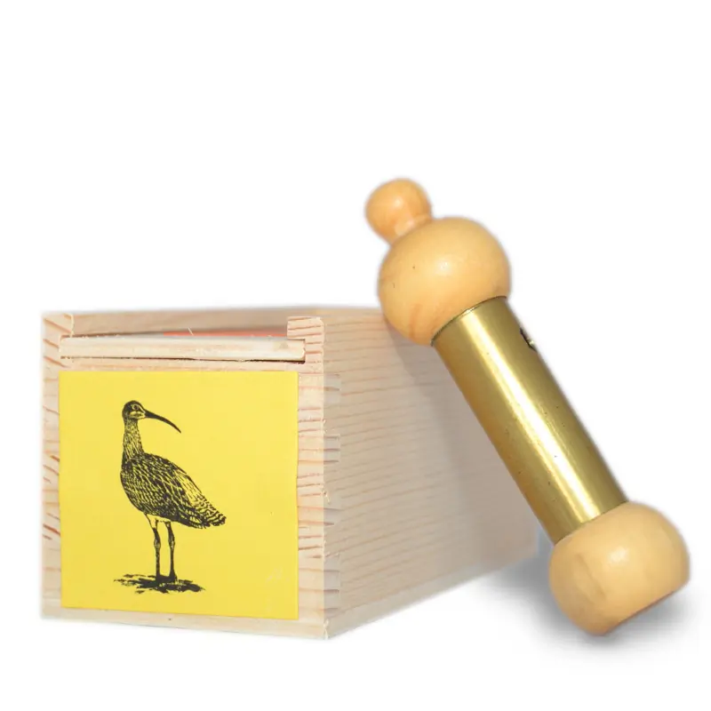 Großer Brachvogel (Pfeife)